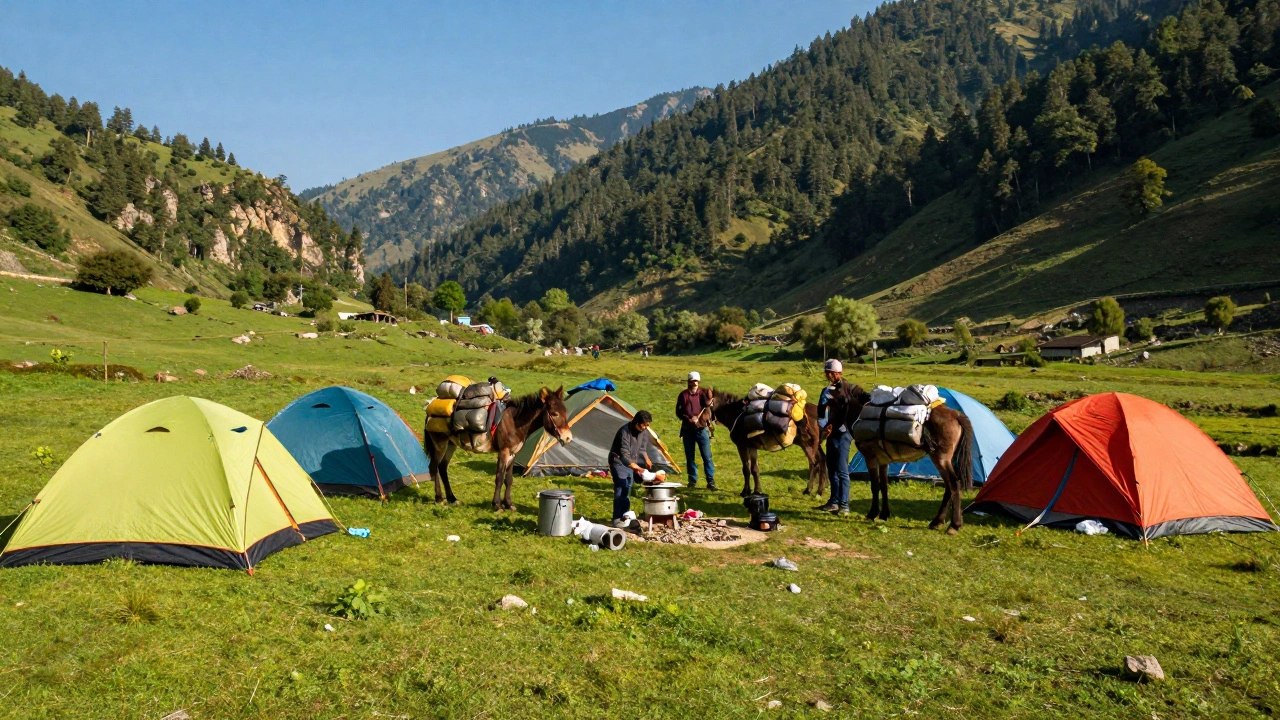 Guided trekking group camping in green meadow with mules and tents