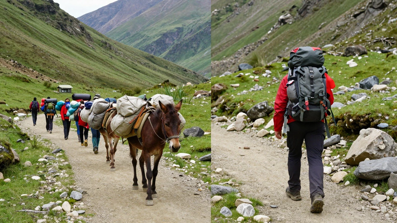 Group vs solo trekking styles in Indian mountains